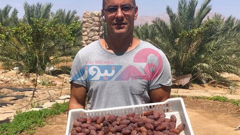 هير نيوز
