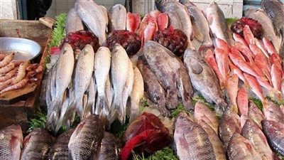 أسعار الأسماك اليوم السبت.. المكرونة المجمدة تصل 40 جنيهًا والسويسي 104	 