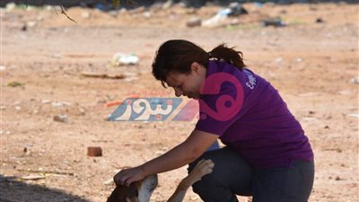 12 نصيحة لتعليم طفلك الرفق بالحيوان.. تعرفي عليها