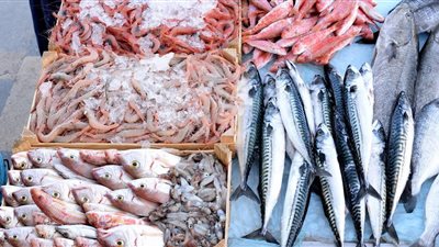 أسعار الأسماك اليوم الأربعاء.. البلطي يصعد مجددًا وتحرك السبيط والكاليماري والسابيا	 