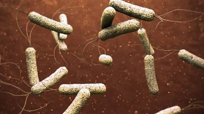 بعد انتشاره في سوريا.. إليك أعراض مرض الكوليرا وطرق الوقاية