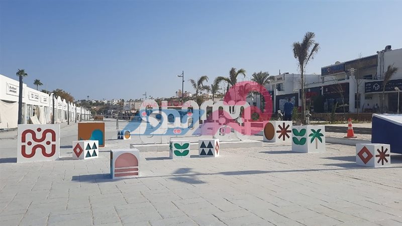 هير نيوز