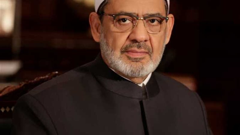 هير نيوز