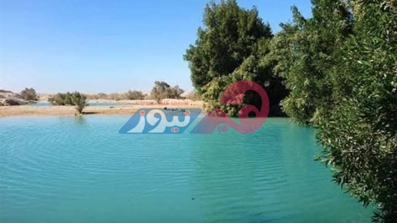 هير نيوز