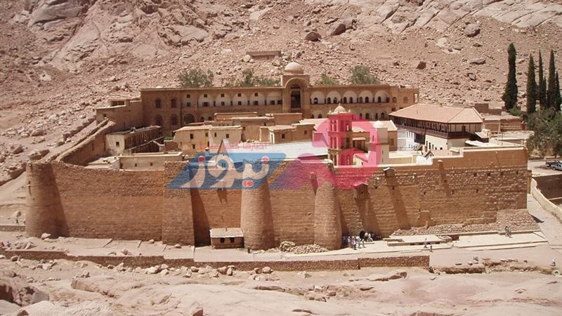 هير نيوز