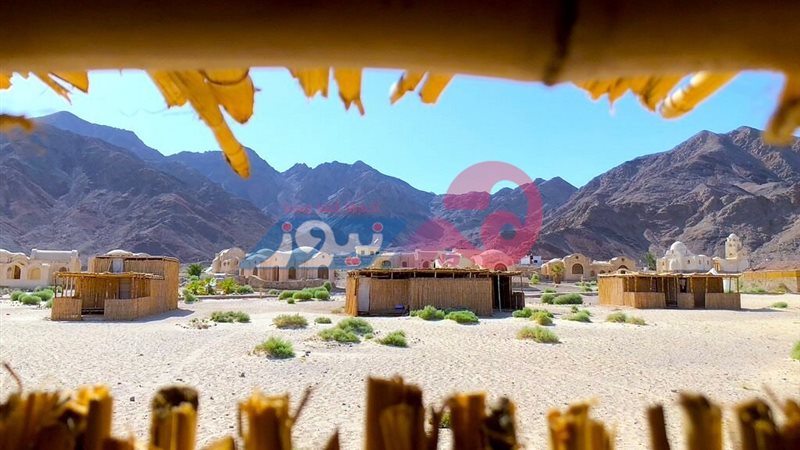 هير نيوز