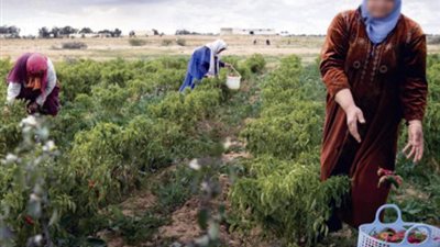 في اليوم العالمي للمرأة الريفية.. نساء عربيات فضلن 