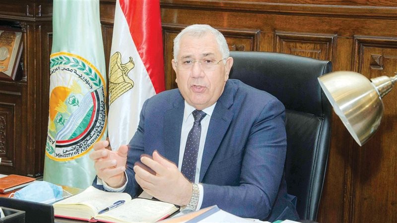 هير نيوز