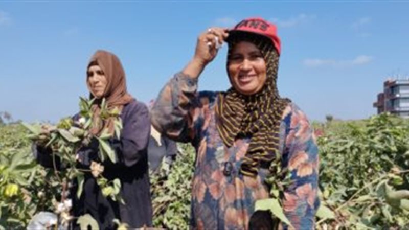 هير نيوز