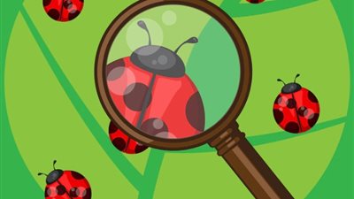 من اللحوم للحلويات.. تعرفي على الأطعمة المغطاة بصبغة الخنفساء E120