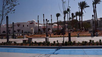 صور| 70 ألف شجرة مثمرة في جنوب سيناء استعدادًا لقمة المناخ