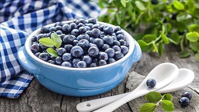 يُنشط الذاكرة ويحمي من الخرف.. تعرفي على فوائد التوت الأزرق