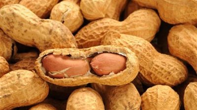 يحافظ على صحة القلب.. فوائد غير متوقعة للفول السوداني في الشتاء