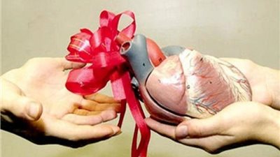 هل يجوز التبرع بالأعضاء التناسلية بعد الوفاة؟.. الإفتاء تفجر مفاجأة