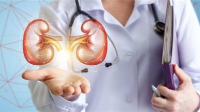 نصائح ذهبية للحفاظ على الكليتين.. اتبعيها 