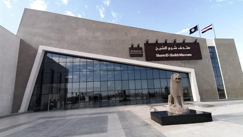هير نيوز