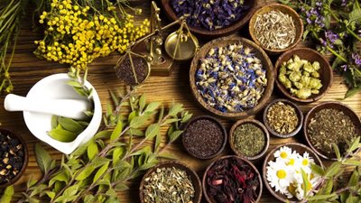 6 أعشاب تساعدك على تنظيف القولون.. تعرفي عليها 