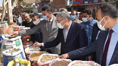 تعرفي على جهود الدولة في التصدي للأسعار الوهمية 