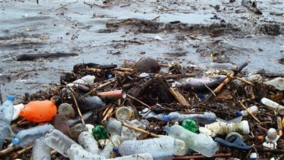 حكم الدين في تلوث البيئة والمياه بالتزامن مع مؤتمر تغير المناخ