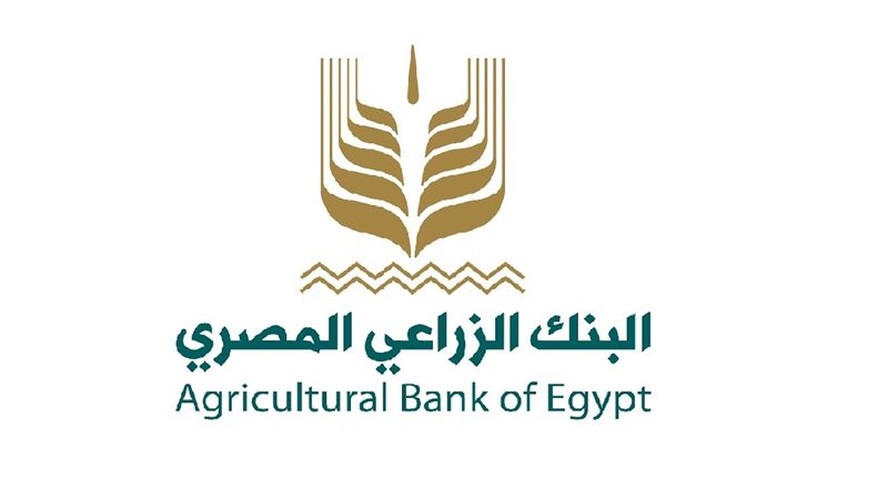 هير نيوز
