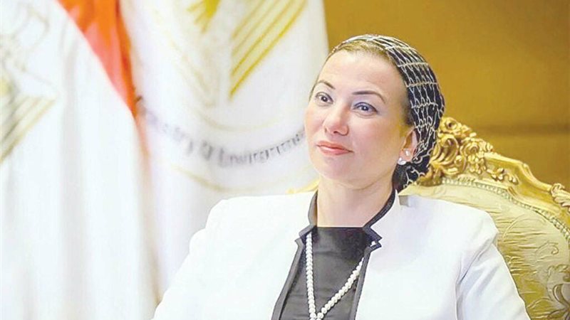 ياسمين فؤاد وزيرة