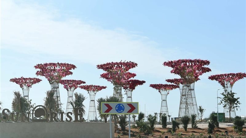 هير نيوز