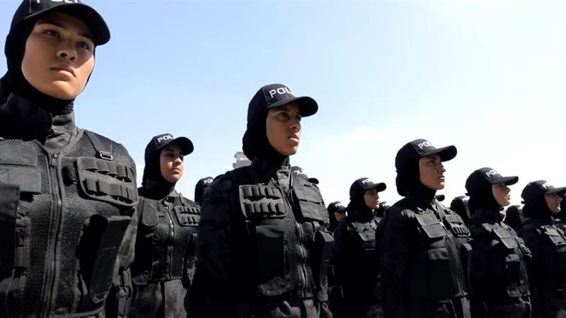 هير نيوز