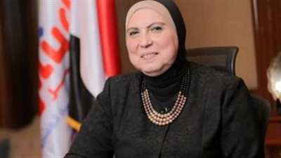 نيفين جامع تعرض تجربة مصر في النهوض بقطاع المشروعات الصغيرة