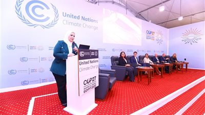 نيفين القباج تشارك بجلسة حوارية عن دور المجتمع المدني للحماية من التغيرات المناخية