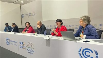 بعد مشاركتها بقمة المناخ.. هالة يسري تشيد بدور المرأة المصرية في الأمن الغذائي