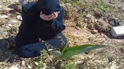 هربت من قسوة الأب فسقطت في أحضان الرذيلة والكيف