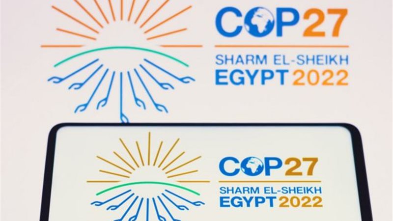 هير نيوز