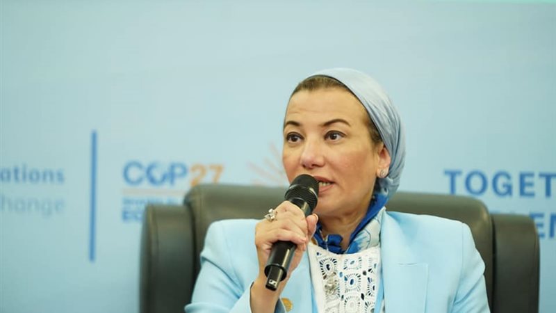 ياسمين فؤاد وزيرة