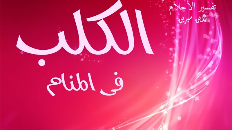 هير نيوز