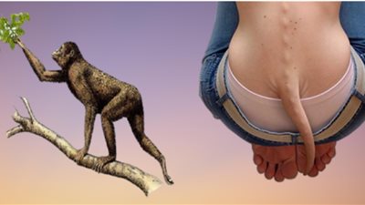 من حوريات البحر إلى شعب العقرب البابلي.. ماذا سيحدث لو امتلك البشر الذيول؟