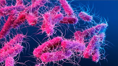 بعد وفاة طفلة بعدوى «شيجيلا».. كل ما تودين معرفته عن الفيروس