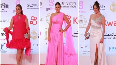 أمينة شلباية تتغزل في فستان ليلى علوي وتهاجم بسمة ومي سليم.. صور