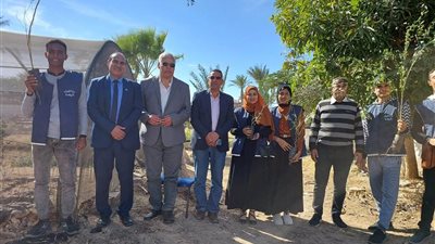 تفعيلا للمبادرة الرئاسية.. زراعة جنوب سيناء تستقبل 55 ألف شجرة| صور 