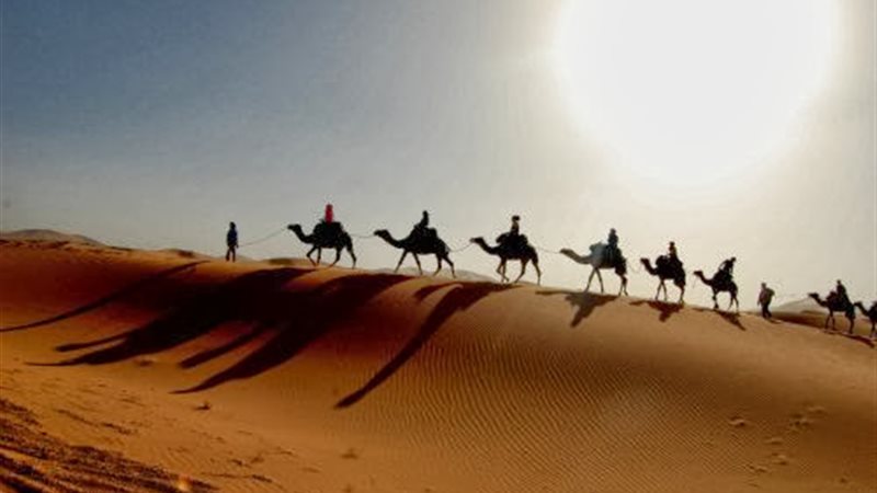 هير نيوز