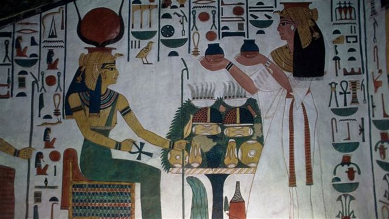 هير نيوز