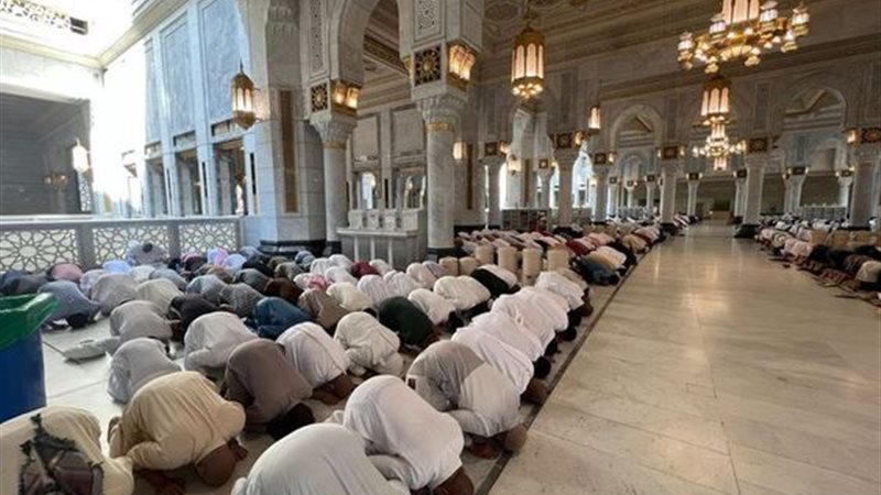 هير نيوز