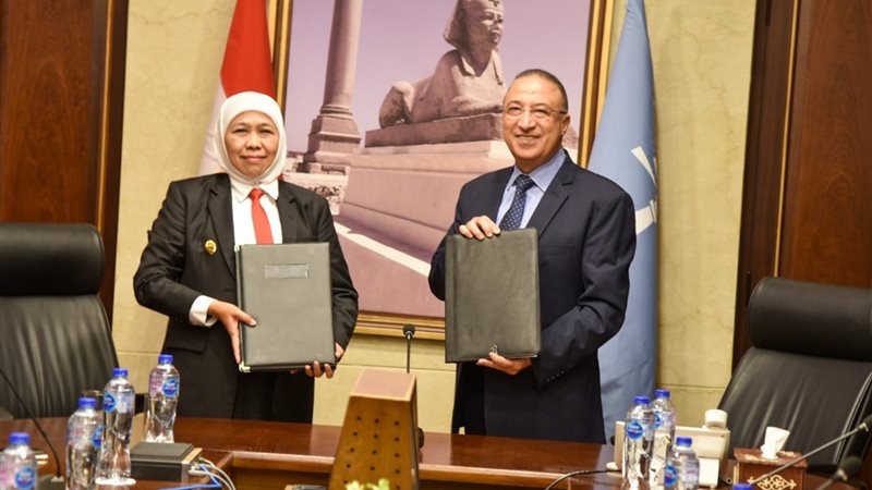 هير نيوز