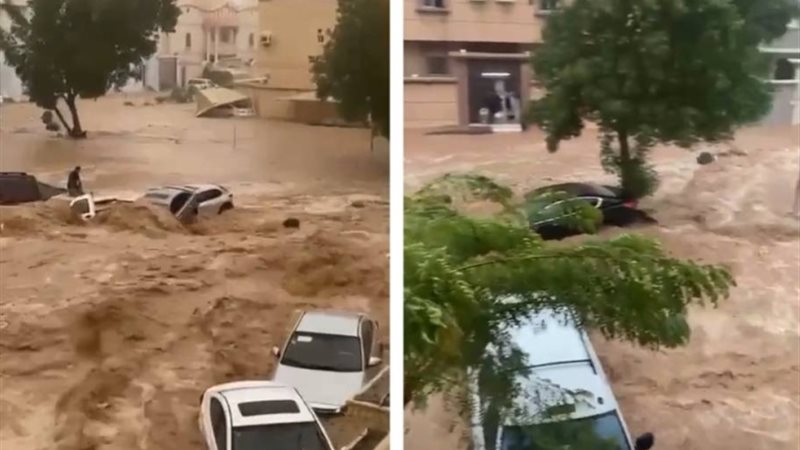 هير نيوز