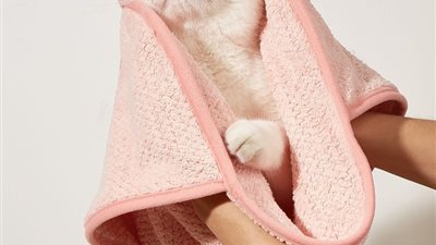 خطوات سهلة لإعطاء قطتك دوائها.. اتبعيها