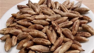 طحن نواة التمر في المنام دليل على المرأة «الشديدة» بتربية أولادها