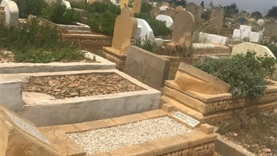 رؤية مفزعة.. تفسير حلم رجوع الميت من القبر للعزباء والمتزوجة والحامل 