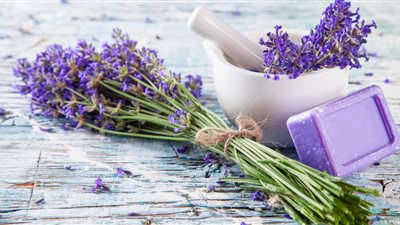 «زيت اللافندر».. معطر رائع وفوائد مذهلة