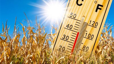 طقس اليوم السبت.. خريفي مائل للبرودة في الصباح الباكر، معتدل على القاهرة الكبرى