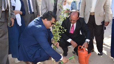 صور| مبادرة «اتحضر للأخضر» تغزو مدارس جنوب سيناء