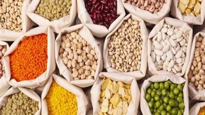 تعرفي على فوائد البقوليات للرضع.. والوقت المناسب لتناولها